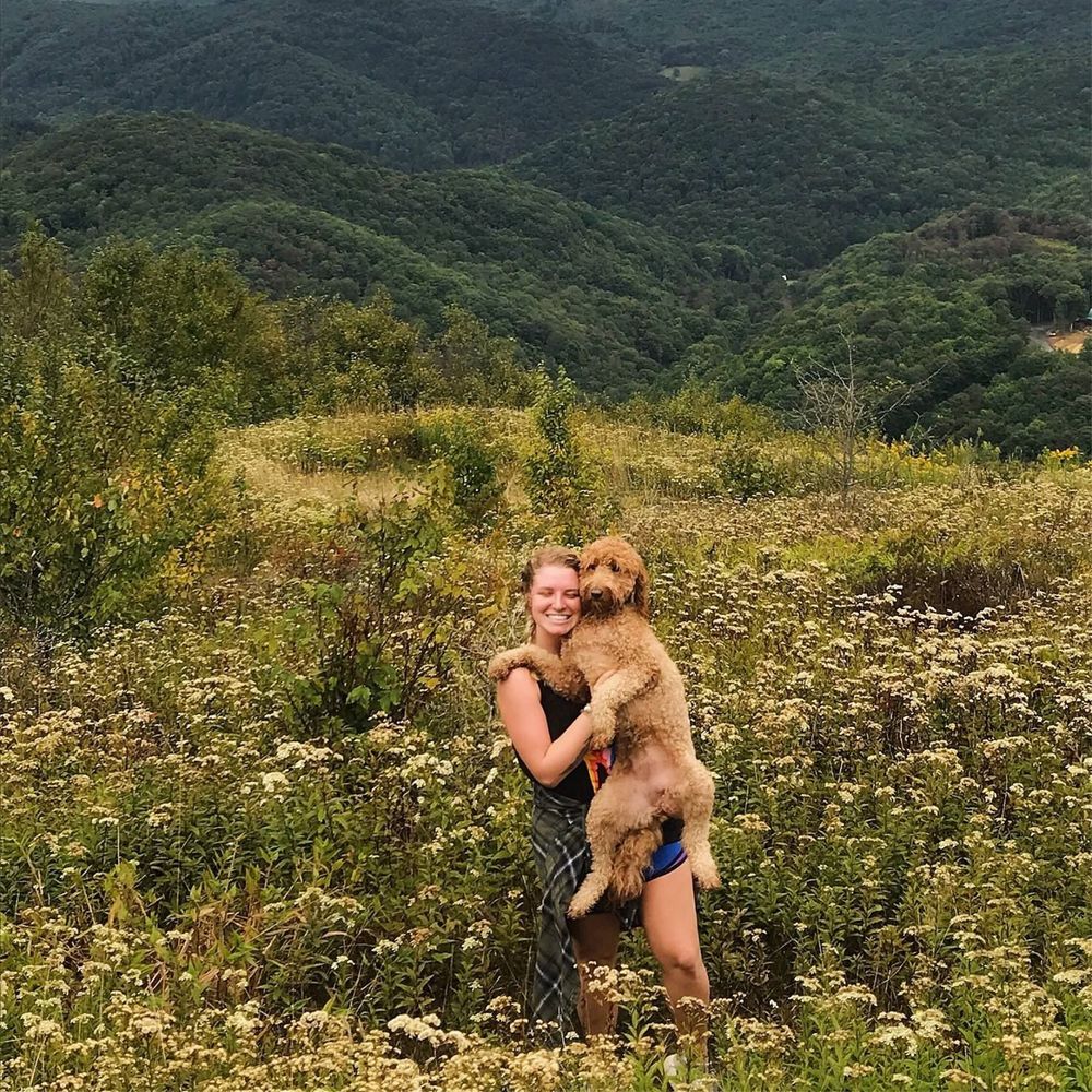 Meet your Posher, Alice